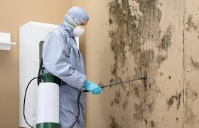 Best Forensic Mold Investigation in Myerstown, PA